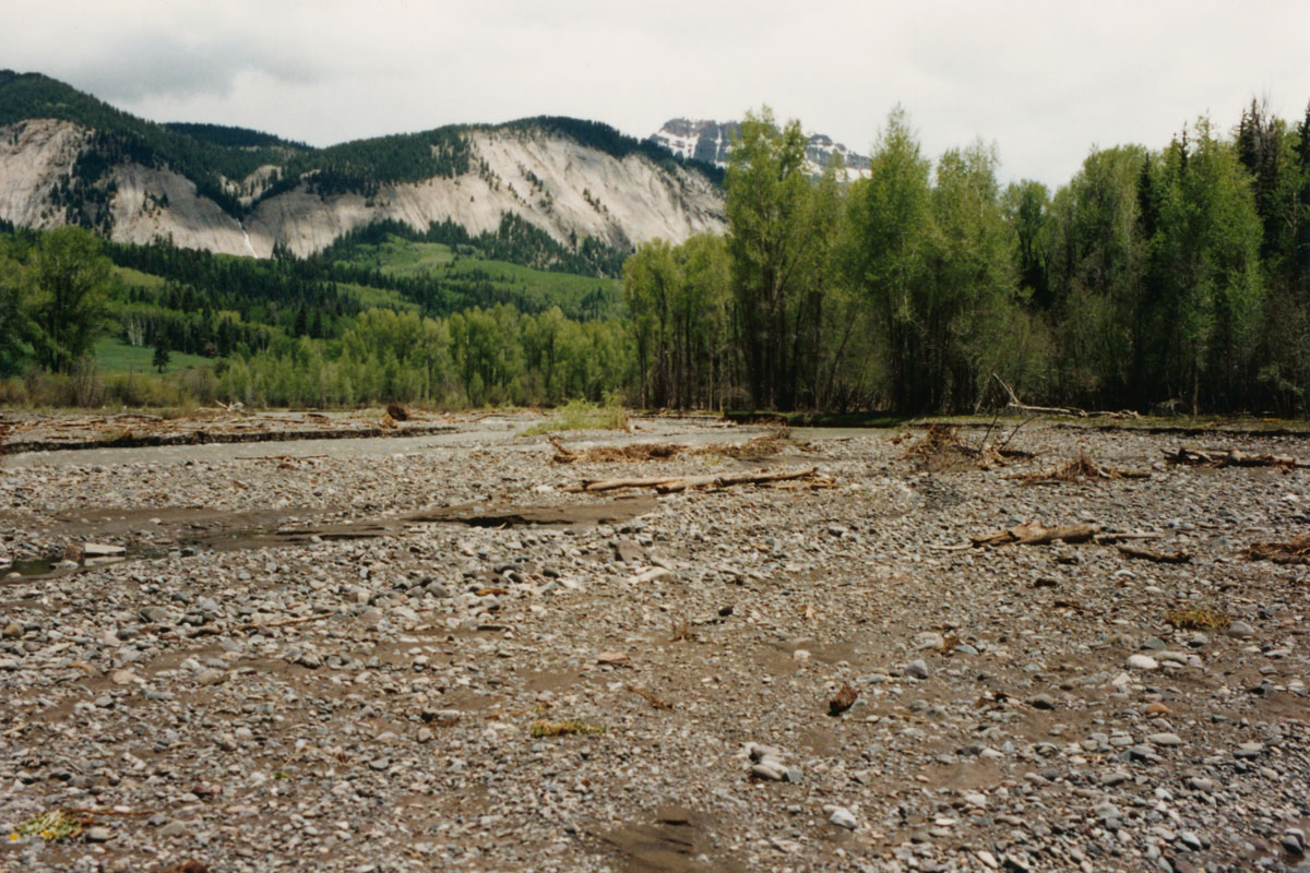 Blanco River in 1986 prior to restoration showing overwide, braided reach