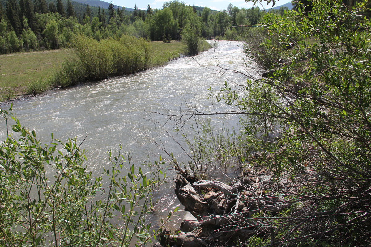 East Fork River in 2015 – 29 years after restoration 