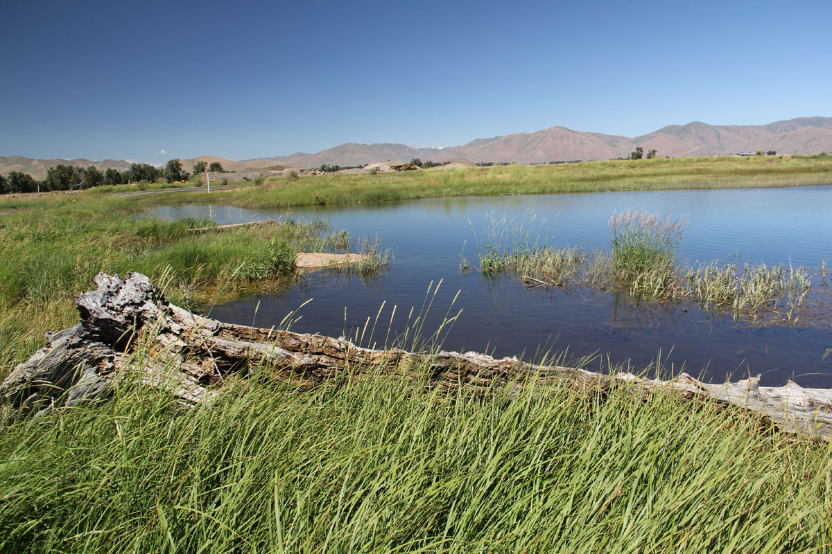 Post-restoration condition that converted the previous entrenched Crystal Creek into a wetland (as shown) while remeandering Crystal Creek in a new location