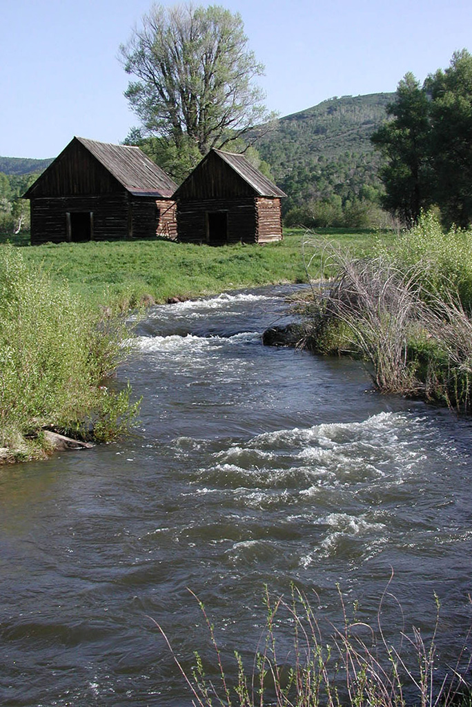 Roaring Fork of Little Snake River post-restoration showing constructed stream with transplanted vegetation