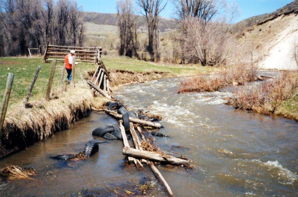 Roaring Fork of Little Snake River prior to restoration