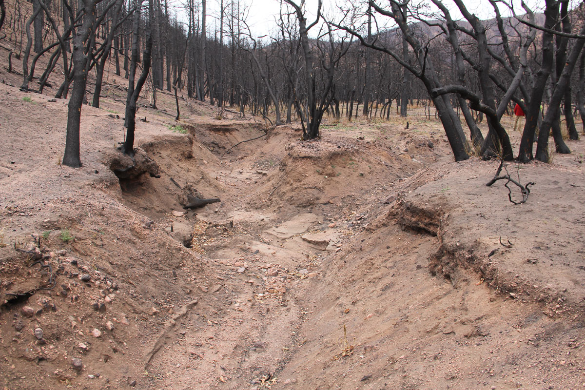 Constructed debris basin in enlarged gully on North Douglas Creek to reconnect fan and fill gully
