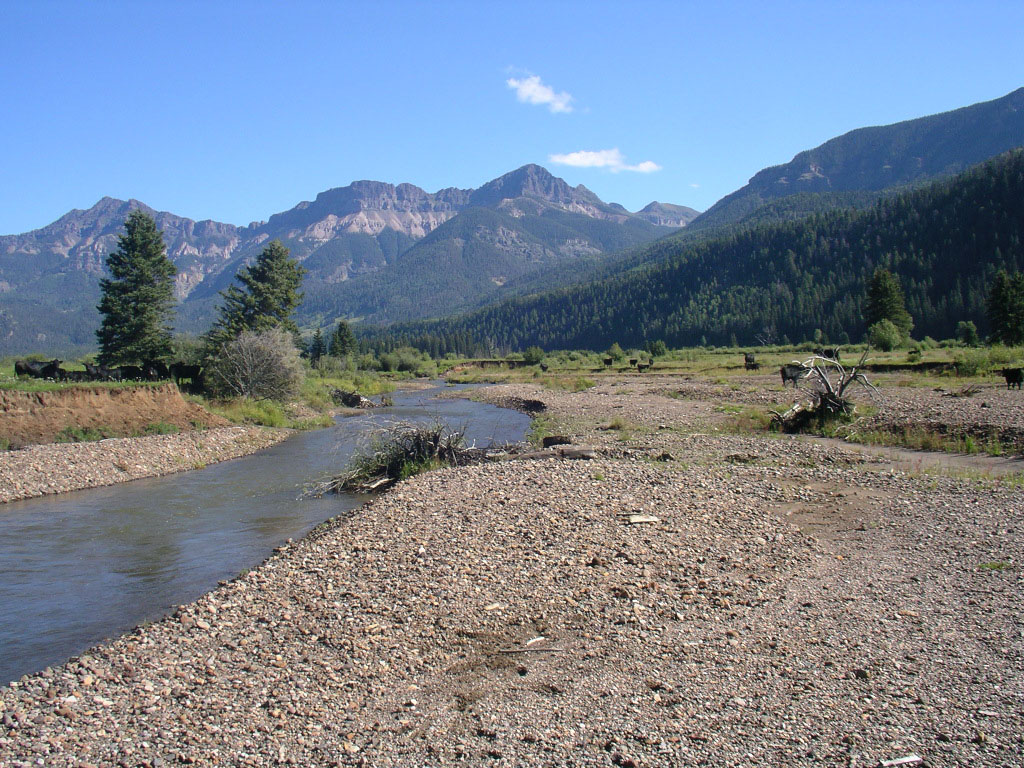 Weminuche Creek prior to restoration showing an overwide, braided channel 