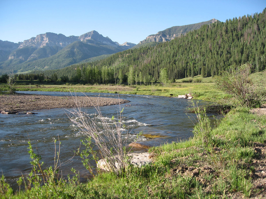 Weminuche Creek after restoration showing a single-thread channel with a J-Hook Vane structure and willow transplants